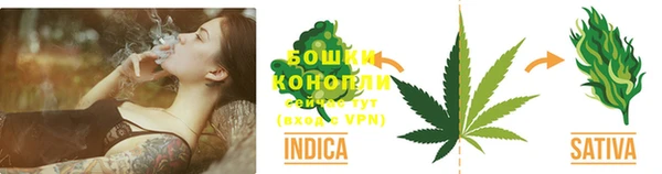бошки Арсеньев
